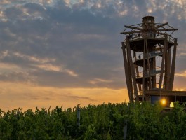 Lookout Tower on Mađerka Hill